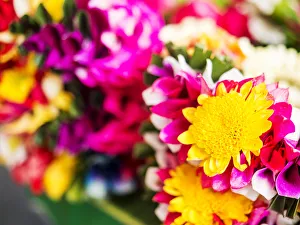Images Dated 3rd December 2013: Southeast Asia; Thailand; Bangkok; kBangkok Street Flower Market