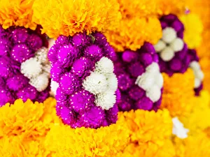 Images Dated 3rd December 2013: Southeast Asia; Thailand; Bangkok; kBangkok Street Flower Market