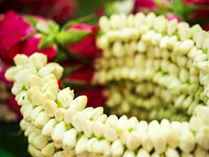 Southeast Asia; Thailand; Bangkok; kBangkok Street Flower Market