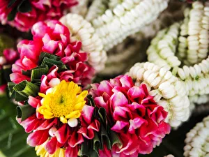 Images Dated 3rd December 2013: Southeast Asia; Thailand; Bangkok; kBangkok Street Flower Market