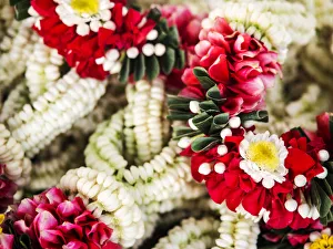 Southeast Asia; Thailand; Bangkok; kBangkok Street Flower Market