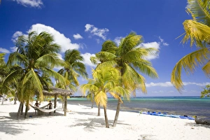 Images Dated 2nd April 2006: Southern Cross Club, Little Cayman, Cayman Islands, Caribbean