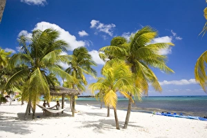 Images Dated 2nd April 2006: Southern Cross Club, Little Cayman, Cayman Islands, Caribbean