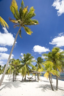 Images Dated 2nd April 2006: Southern Cross Club, Little Cayman, Cayman Islands, Caribbean