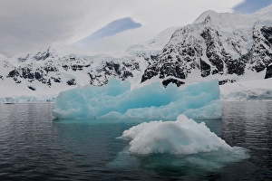 Floating Prints: Southern Ocean, Antarctica