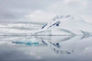 Paradise Bay Prints: Southern Ocean, Antarctica, Paradise Bay