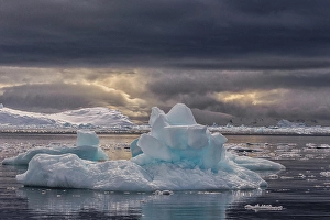 Dark Prints: Southern Ocean, Antarctica, Paradise Harbour