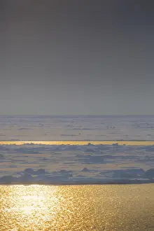 Sea Ice Prints: Southern Ocean, Antarctica. Sea Ice and Golden Water at Sunset