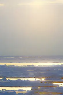 Reflect Prints: Southern Ocean, Antarctica. Sunlight reflecting off the water and Sea Ice