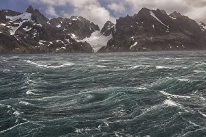 Animal Prints: Southern Ocean, South Georgia, Drygalski Fjord. An Antarctic storm blows up where
