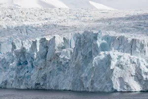 Antarctica Gallery: Southern Ocean, South Georgia, Drygalski Fjord, Resting Glacier