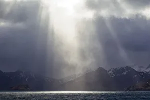 Images Dated 12th October 2021: Southern Ocean, South Georgia, King Edward Cove, Grytviken