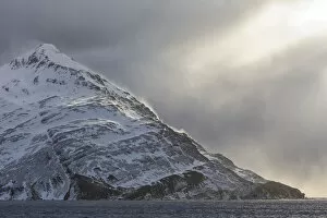 Antarctica Gallery: Southern Ocean, South Georgia, Salisbury Plain, Snowy peaks surround Salisbury Plain