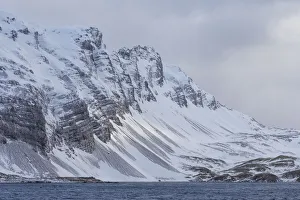 Southern Ocean, South Georgia, Salisbury Plain, Snowy peaks surround Salisbury Plain