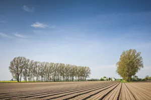Plowed Prints: Southern Sweden, Kaseberga, plowed field, springtime