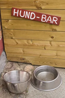Images Dated 12th January 2020: Southern Sweden, Ystad, Hund-Bar, water for dogs, dog bar