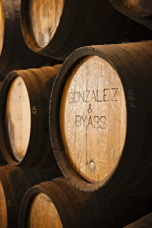 Images Dated 30th October 2011: Spain, Andalucia Region, Cadiz Province, Sherry Triangle Area, Jerez de la Frontera