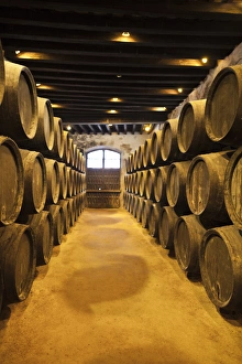 Spain, Andalucia Region, Cadiz Province, Sherry Triangle Area, Jerez de la Frontera