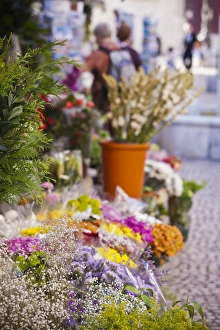 Images Dated 29th October 2011: Spain, Andalucia Region, Cadiz Province, Cadiz, Plaza de Topete flower market