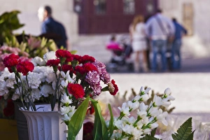 Images Dated 29th October 2011: Spain, Andalucia Region, Cadiz Province, Cadiz, Plaza de Topete flower market
