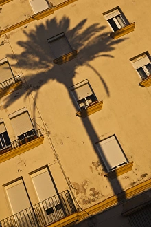 Images Dated 29th October 2011: Spain, Andalucia Region, Cadiz Province, Cadiz, Campo del Sur, palm shadow on building