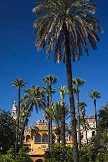Spain, Andalucia Region, Seville Province, Seville, The Alcazar, Alcazar Gardens
