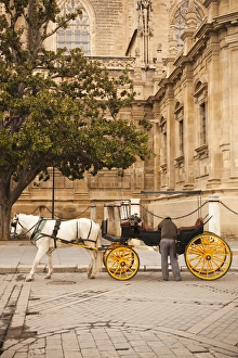 Spain, Andalucia Region, Seville Province, Seville, Horse carriage, Plaza del Triunfo
