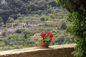 Images Dated 21st April 2017: Spain, Balearic Islands, Mallorca
