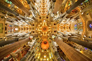Abstract Gallery: Spain, Barcelona. Sagrada Familia ceiling