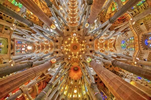 Abstract Gallery: Spain, Barcelona. Sagrada Familia interior