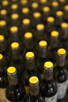 Images Dated 11th October 2011: Spain, Basque Country Region, La Rioja Area, Alava Province, Elciego, Bodega Marques