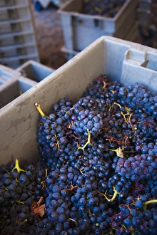 Spain, Basque Country Region, La Rioja Area, Alava Province, Elciego, Bodega Marques