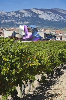 Images Dated 11th October 2011: Spain, Basque Country Region, La Rioja Area, Alava Province, Elciego, elevated town view