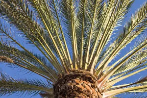 Images Dated 11th November 2019: Spain, Canary Islands, Fuerteventura Island, Morro Jable, Playa del Matorral beach