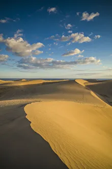Spain, Canary Islands, Gran Canaria Island, Maspalomas, Maspalomas Dunes National Park