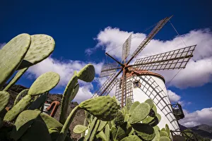 Prints of Spain, Canary Islands, Gran Canaria Island, Puerto de Mogan, antique windmill Images Dated 2019 November: Spain, Canary Islands, Gran Canaria Island, Puerto de Mogan, antique windmill
