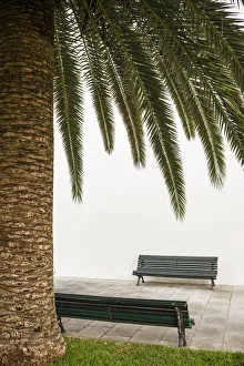 Prints of Spain, Canary Islands, La Palma Island, San Andres, detail of the village square Images Dated 2019 November: Spain, Canary Islands, La Palma Island, San Andres, detail of the village square