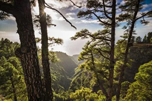 Prints of Spain, Canary Islands, La Palma Island, Mirador de Garome, elevated coastal view Images Dated 2019 November: Spain, Canary Islands, La Palma Island, Mirador de Garome, elevated coastal view