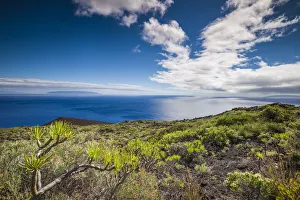Spain, Canary Islands, La Palma Island, Fuencaliente de la Palma, Punta de Fuencaliente