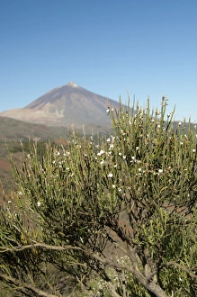 Images Dated 28th May 2010: Spain, Canary Islands, Tenerife. Las Canadas National Park. Mt. Teide, 12, 300 ft