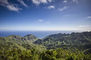 Spain, Canary Islands, Tenerife Island, northeast, La Cumbrilla