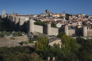 Images Dated 9th October 2011: Spain, Castilla y Leon Region, Avila Province