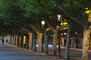 Images Dated 11th October 2011: Spain, Castilla y Leon Region, Burgos Province, Burgos, Paeo del Espolon walkway