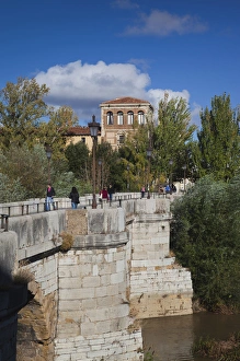 Spain, Castilla y Leon Region, Leon Province, Leon, Puente de San Marcos bridge