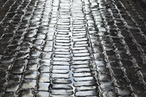 Images Dated 25th October 2011: Spain, Castilla y Leon Region, Salamanca Province, Salamanca, Plaza Mayor, wet