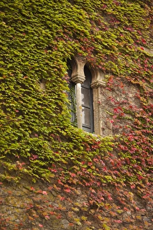 Images Dated 26th October 2011: Spain, Extremadura Region, Caceres Province, Caceres, Ciudad Monumental, Old Town