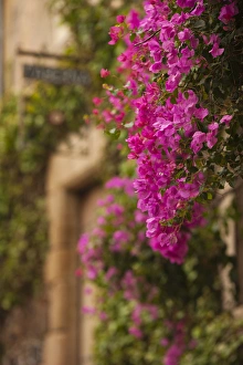Images Dated 26th October 2011: Spain, Extremadura Region, Caceres Province, Caceres, Ciudad Monumental, Old Town