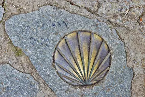 Way Of St Prints: Spain, Galicia. Brass scallop shell to point the way on the Camino de Santiago