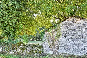 Way Of St Prints: Spain, Galicia. Countryside in Galicia between Vilei and Morgade