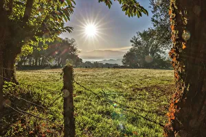Way Of St Prints: Spain, Galicia. Early morning on the Camino de Santiago near Vilei